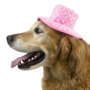 VIBRANT LIFE PINK POLKA DOT DOG BUCKET HAT